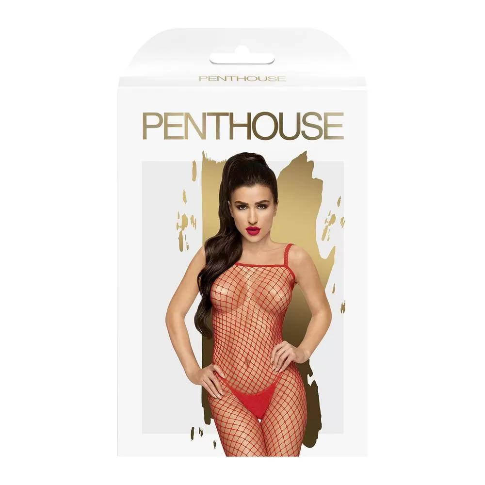 Бодистокинг Penthouse Body search Красный S-L 4006451 оптом