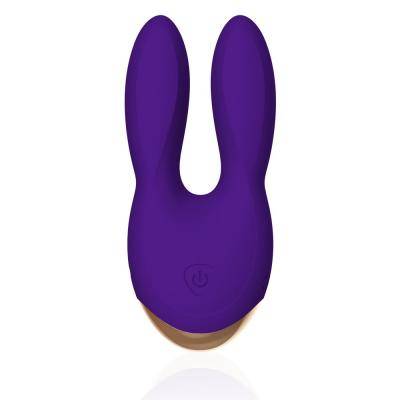 Вибратор Rianne S Bunny Bliss, фиолетовый E27844 (жен. вибратор) оптом